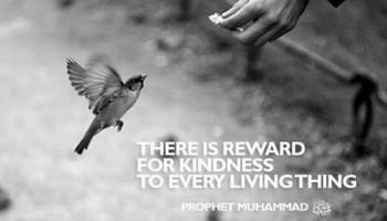 récompense pour la gentillesse
